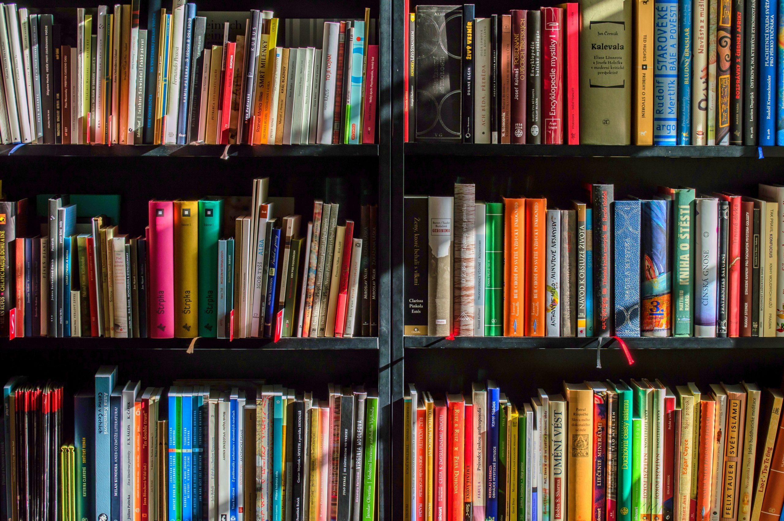 Books_Libri_libreria_pexels-pixabay-159711