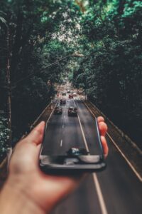 pexels-matheus-bertelli-799443